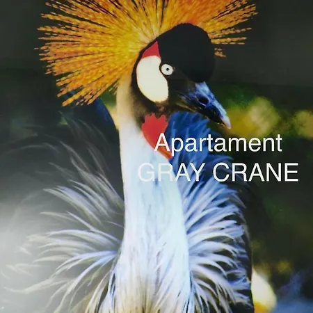 Apartament Gray Crane Giżycko Exterior foto