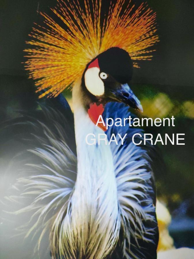 Apartment Gray Crane *
